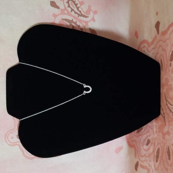 Horseshoe Necklace I'm so lucky to have you in my life Rhinestone Dainty Horsesh - Picture 2 of 9